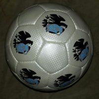 Lederfussball #Bembeladler