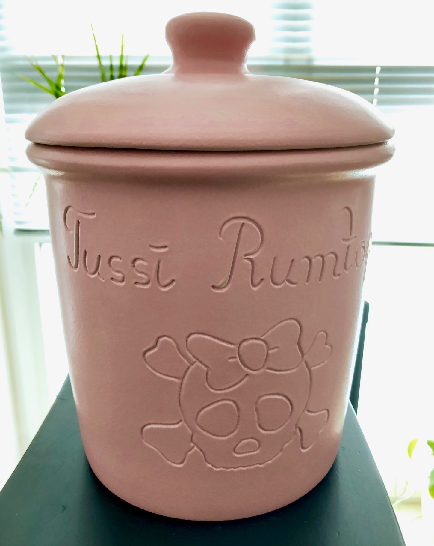 Schicker Tussi Rumtopf in rosa