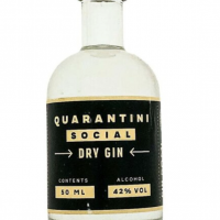 Quarantini Minis - 50ml Quarantini Flasche