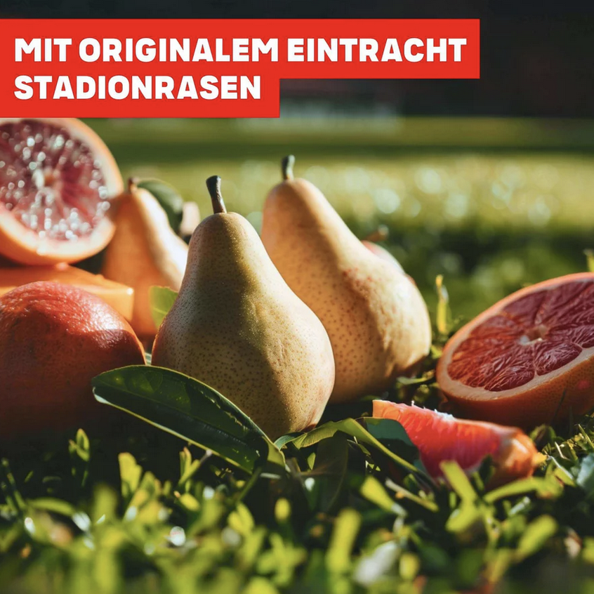 Quarantini Eintracht Frankfurt Edition bei Bembeltown